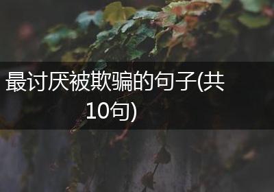 最讨厌被欺骗的句子(共10句)