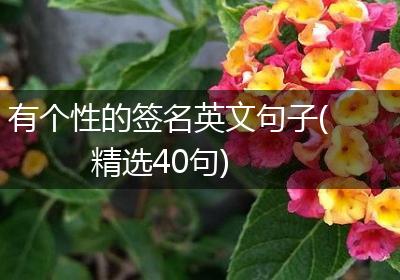 有个性的签名英文句子(精选40句)