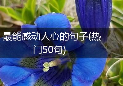 最能感动人心的句子(热门50句)