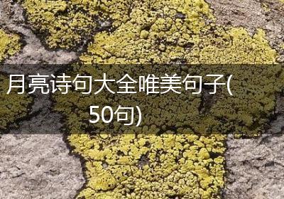 月亮诗句大全唯美句子(50句)