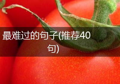 最难过的句子(推荐40句)