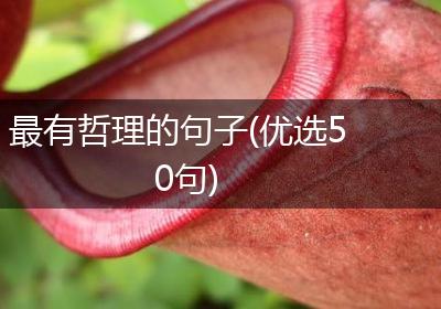 最有哲理的句子(优选50句)