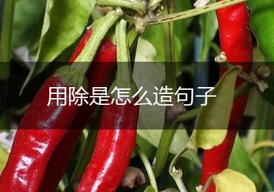 用除是怎么造句子