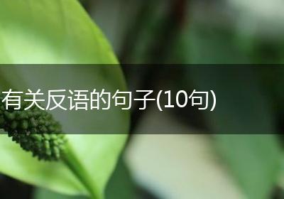 有关反语的句子(10句)
