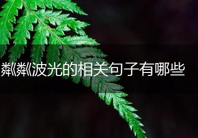 粼粼波光的相关句子有哪些