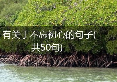 有关于不忘初心的句子(共50句)