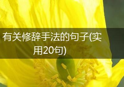 有关修辞手法的句子(实用20句)