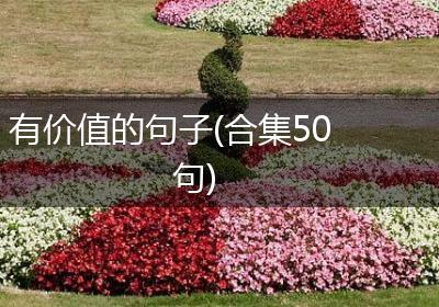 有价值的句子(合集50句)