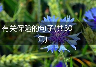 有关保险的句子(共30句)