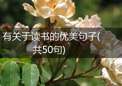 有关于读书的优美句子(共50句)