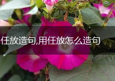 任放造句,用任放怎么造句