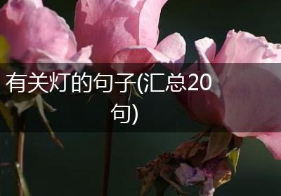 有关灯的句子(汇总20句)