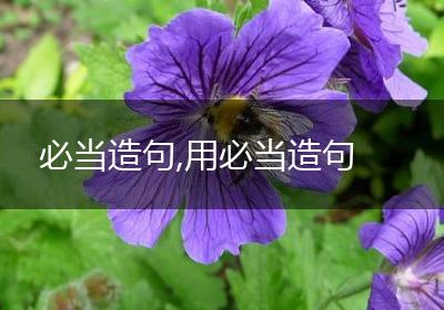 必当造句,用必当造句