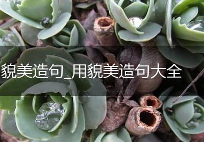 貌美造句_用貌美造句大全