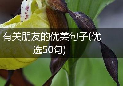 有关朋友的优美句子(优选50句)