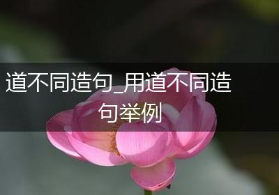 道不同造句_用道不同造句举例