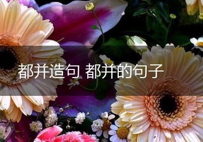 都并造句 都并的句子
