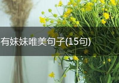 有妹妹唯美句子(15句)