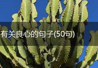 有关良心的句子(50句)