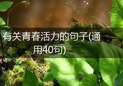 有关青春活力的句子(通用40句)
