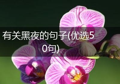 有关黑夜的句子(优选50句)