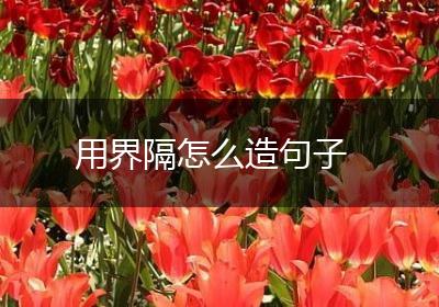 用界隔怎么造句子