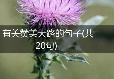 有关赞美天路的句子(共20句)
