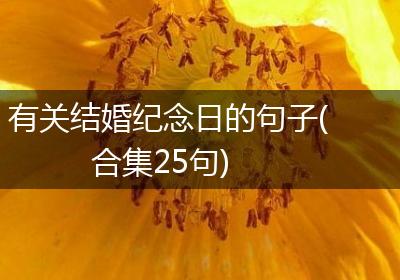 有关结婚纪念日的句子(合集25句)