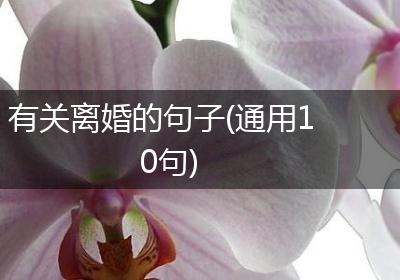 有关离婚的句子(通用10句)