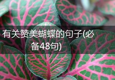 有关赞美蝴蝶的句子(必备48句)