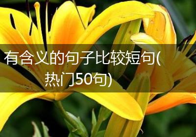 有含义的句子比较短句(热门50句)