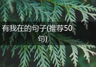 有我在的句子(推荐50句)