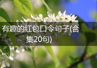 有趣的红包口令句子(合集20句)