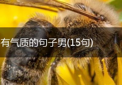 有气质的句子男(15句)