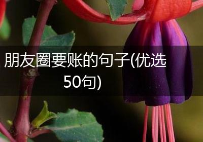 朋友圈要账的句子(优选50句)