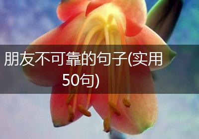 朋友不可靠的句子(实用50句)