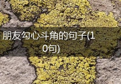 朋友勾心斗角的句子(10句)