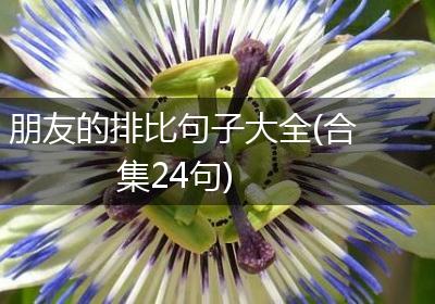 朋友的排比句子大全(合集24句)