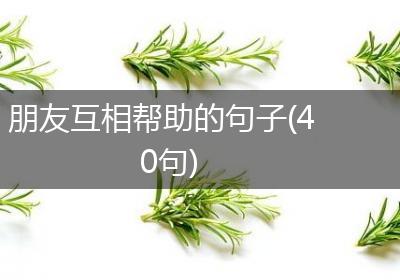 朋友互相帮助的句子(40句)