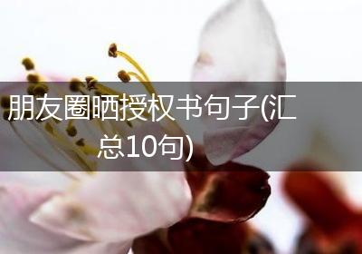 朋友圈晒授权书句子(汇总10句)