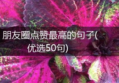 朋友圈点赞最高的句子(优选50句)