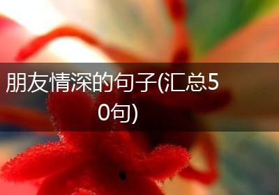 朋友情深的句子(汇总50句)