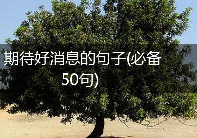 期待好消息的句子(必备50句)