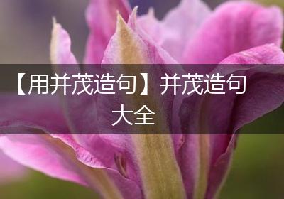 【用并茂造句】并茂造句大全