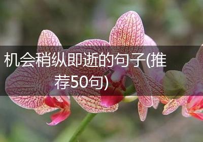 机会稍纵即逝的句子(推荐50句)