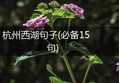 杭州西湖句子(必备15句)