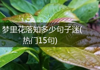 梦里花落知多少句子迷(热门15句)