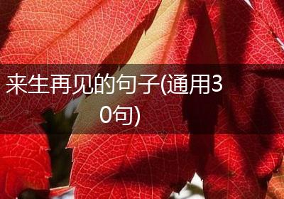 来生再见的句子(通用30句)