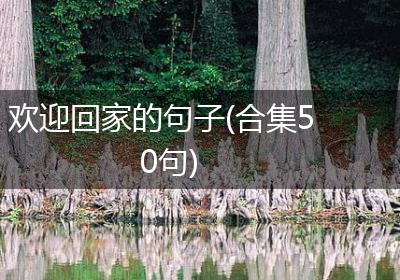 欢迎回家的句子(合集50句)