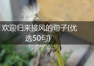 欢迎归来接风的句子(优选50句)